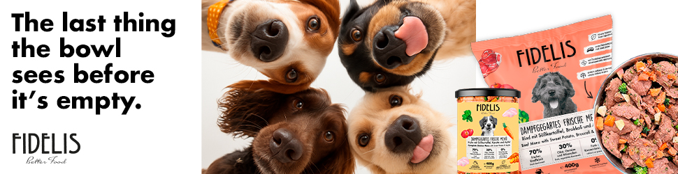 Access the official Fidelis website